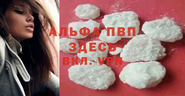 гашик Чегем