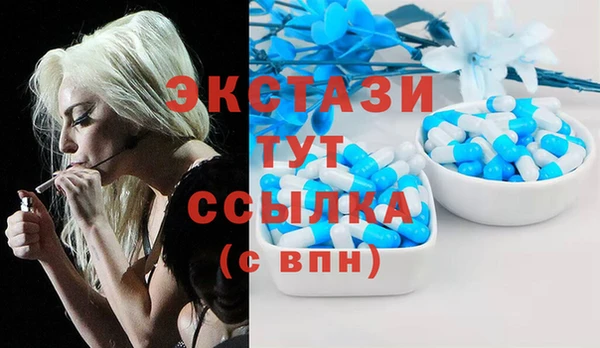 гашик Чегем