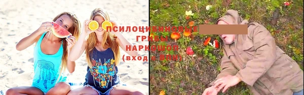 apvp Мегион