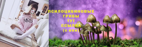 гашишное масло Медногорск