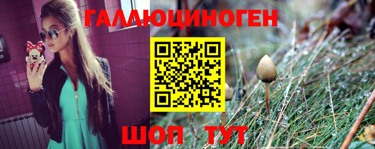 Псилоцибиновые грибы Cubensis  Галлюциногенные грибы Cubensis  Оренбург  Вход с VPN 