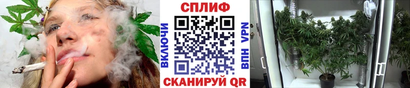 Бошки марихуана гибрид  Оренбург 